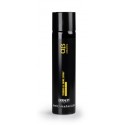 Thermo & Shine Spray Argabeta Dikson